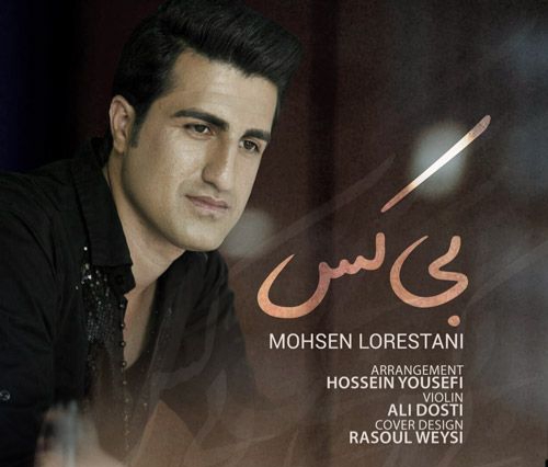 محسن لرستانی بی کس